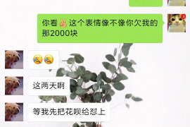 龙岩融资清欠服务